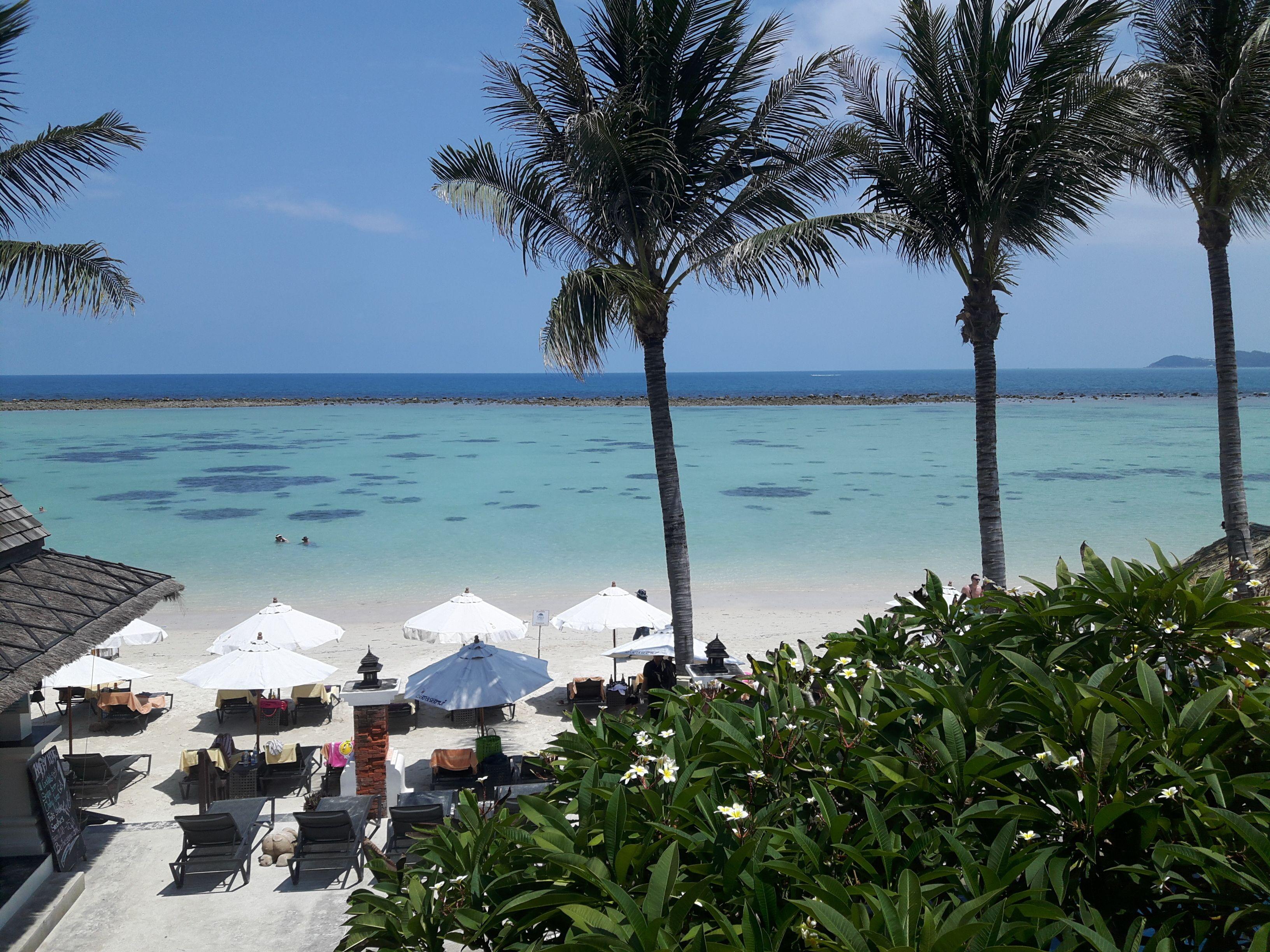 1 Beachfront Resort in Chaweng City Center Worth Booking