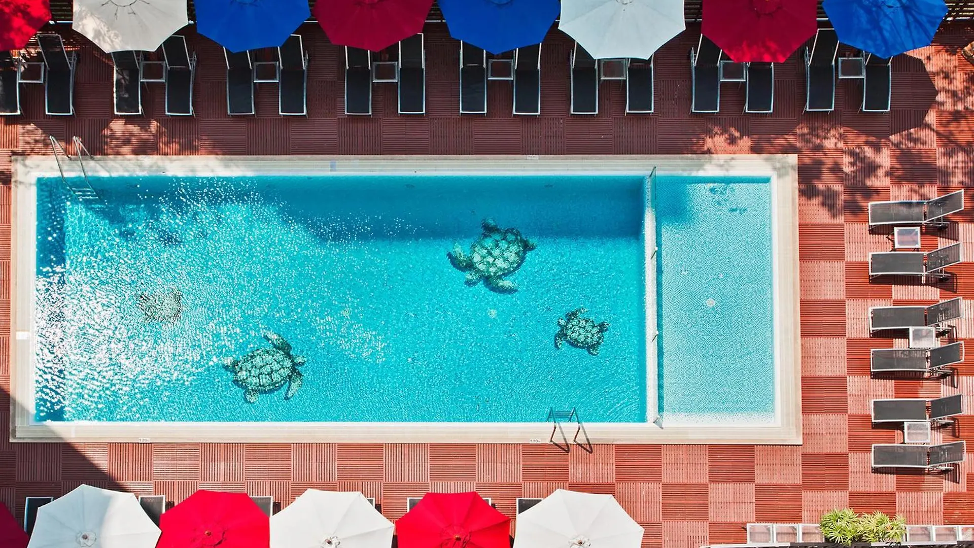 15 Central Hotels Near Harbor Pattaya That Stand Out